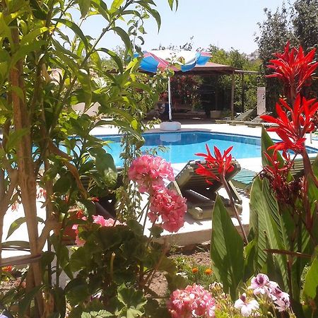 Paradise Garden Gumusluk Evleri Gümüşlük Ngoại thất bức ảnh