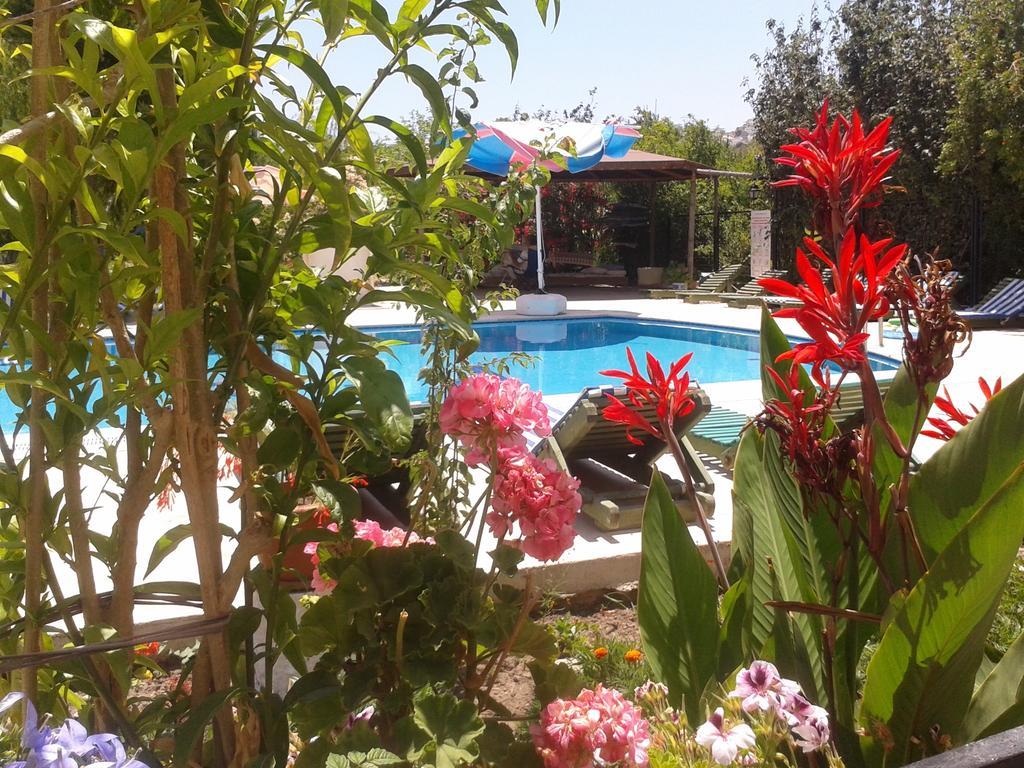 Paradise Garden Gumusluk Evleri Gümüşlük Ngoại thất bức ảnh