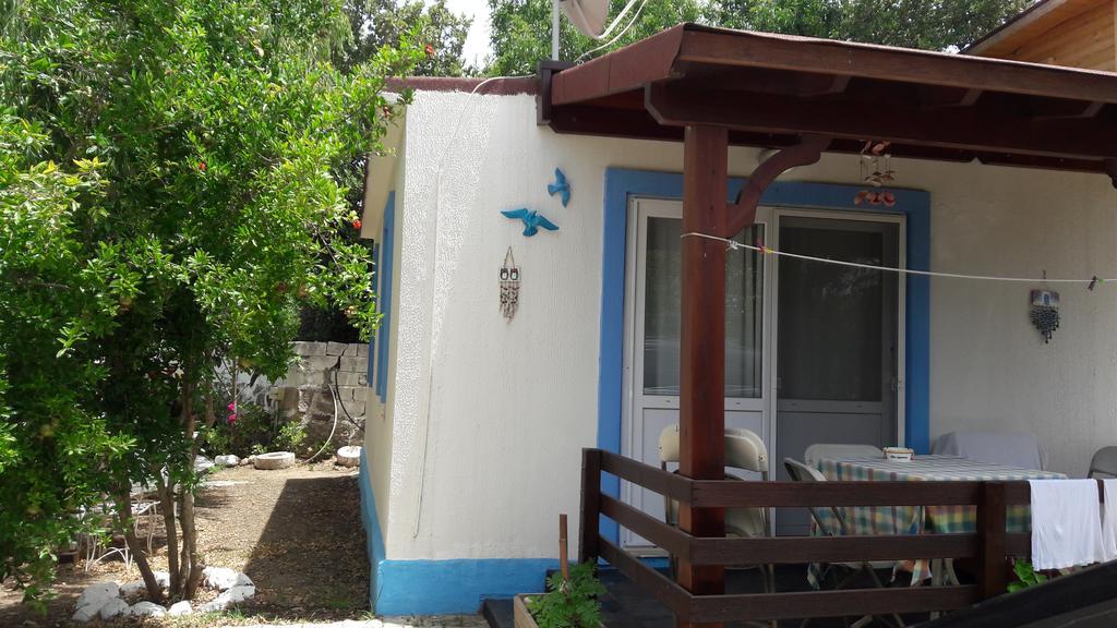 Paradise Garden Gumusluk Evleri Gümüşlük Ngoại thất bức ảnh