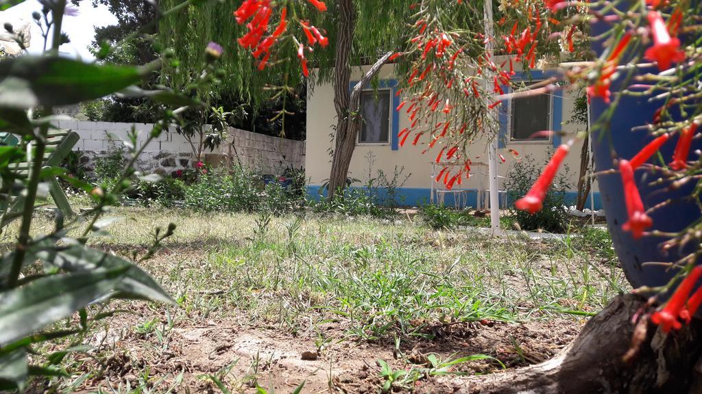 Paradise Garden Gumusluk Evleri Gümüşlük Ngoại thất bức ảnh