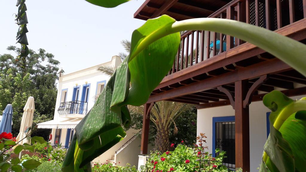 Paradise Garden Gumusluk Evleri Gümüşlük Ngoại thất bức ảnh