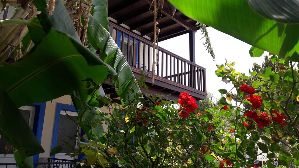 Paradise Garden Gumusluk Evleri Gümüşlük Ngoại thất bức ảnh